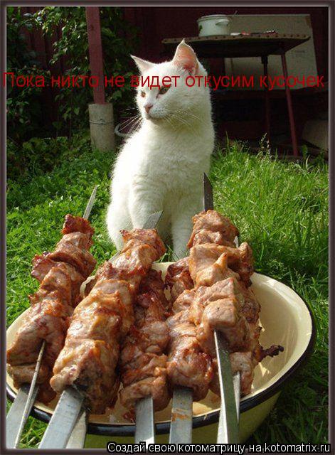 Пока никто не видет откусим кусочек... Котоматрица: Пока никто не видет откусим кусочек