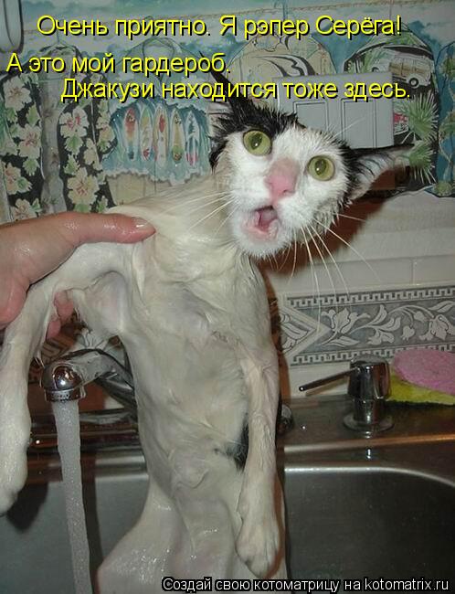 Котоматрица: Очень приятно. Я рэпер Серёга! А это мой гардероб. Джакузи находится тоже здесь.