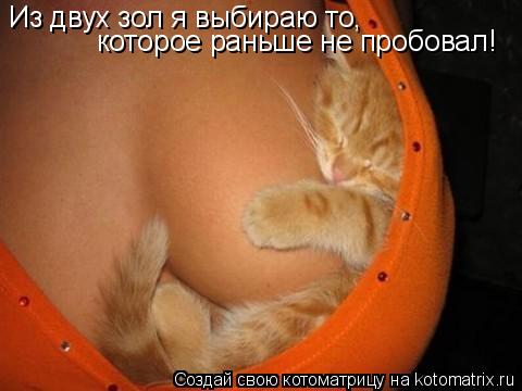Из двух зол я выбираю то, которое раньше не пробовал!... Котоматрица: Из двух зол я выбираю то, которое раньше не пробовал!