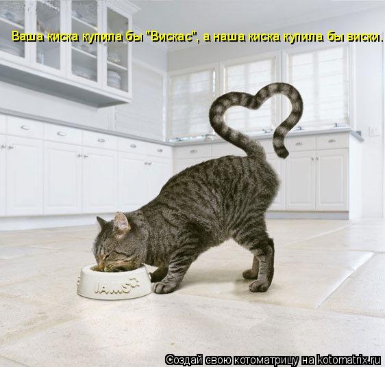 Ваша киска купила бы "Вискас", а наша киска купила бы виски.... Котоматрица: Ваша киска купила бы "Вискас", а наша киска купила бы виски.