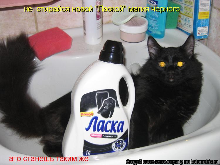 не стирайся новой "Лаской" магия черного, ато станешь таким же как я))) не стирайся новой "Лаской"... Котоматрица: не стирайся новой "Лаской" магия черного, ато станешь таким же как я))) не стирайся новой "Лаской" магия черного ато станешь таким же