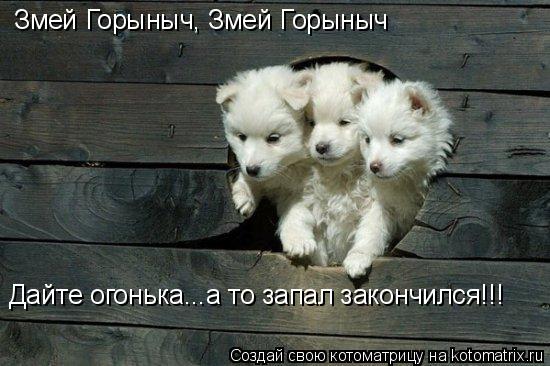 Змей Горыныч, Змей Горыныч Дайте огонька...а то запал закончился!!!... Котоматрица: Змей Горыныч, Змей Горыныч Дайте огонька...а то запал закончился!!!
