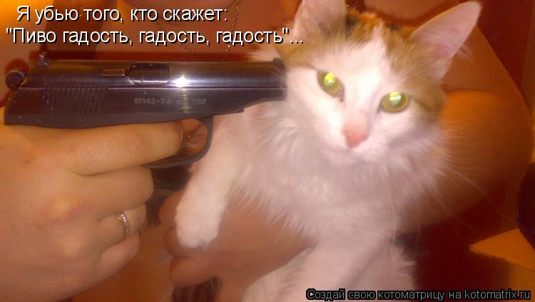 Я убью того, кто скажет: "Пиво гадость, гадость, гадость"...... Котоматрица: Я убью того, кто скажет: "Пиво гадость, гадость, гадость"...
