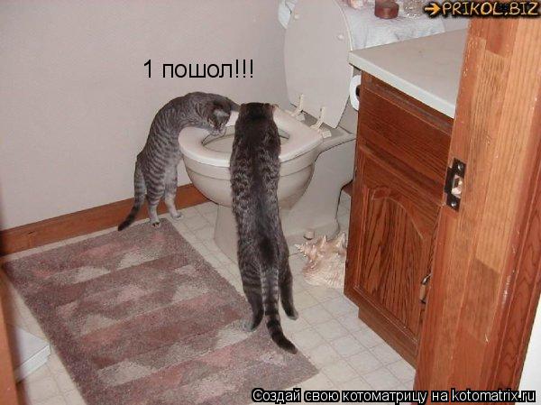 Котоматрица: 1 пошол!!!
