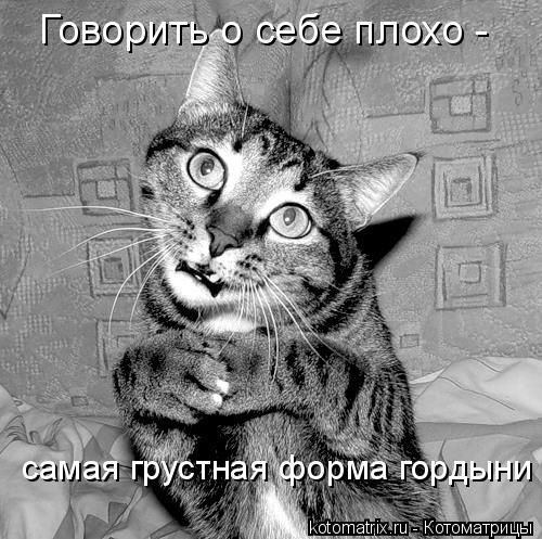 Говорить о себе плохо - самая грустная форма гордыни... Котоматрица: Говорить о себе плохо - самая грустная форма гордыни