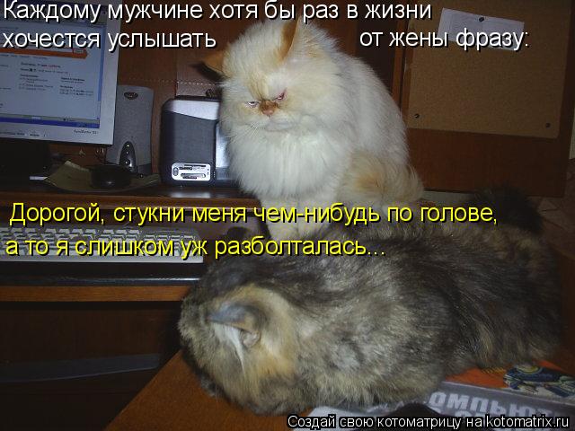 хочестся услышать от жены фразу: Дорогой, стукни меня чем-нибудь по голове, Каждому мужчине хотя бы ... Котоматрица: хочестся услышать от жены фразу: Дорогой, стукни меня чем-нибудь по голове, Каждому мужчине хотя бы раз в жизни а то я слишком уж разболтала