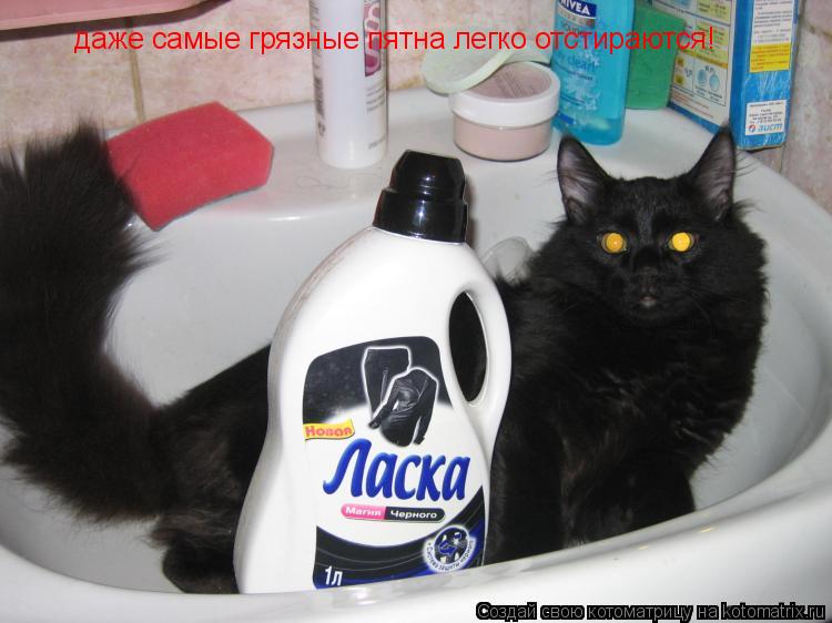 даже самые грязные пятна легко отстираются!... Котоматрица: даже самые грязные пятна легко отстираются!