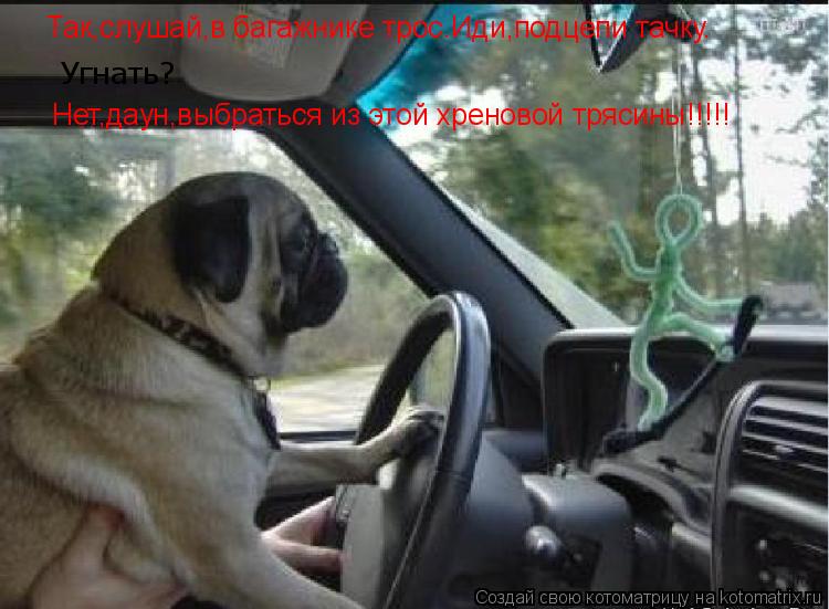 Угнать? Нет,даун,выбраться из этой хреновой трясины!!!!! Так,слушай,в багажнике трос.Иди,подцепи тачк... Котоматрица: Угнать? Нет,даун,выбраться из этой хреновой трясины!!!!! Так,слушай,в багажнике трос.Иди,подцепи тачку.