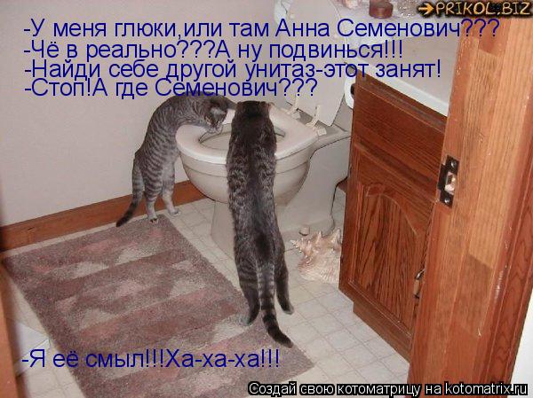 -У меня глюки,или там Анна Семенович??? -Чё в реально???А ну подвинься!!! -Найди себе другой унитаз-э... Котоматрица: -У меня глюки,или там Анна Семенович??? -Чё в реально???А ну подвинься!!! -Найди себе другой унитаз-этот занят! -Стоп!А где Семенович??? -Я её смыл!!!