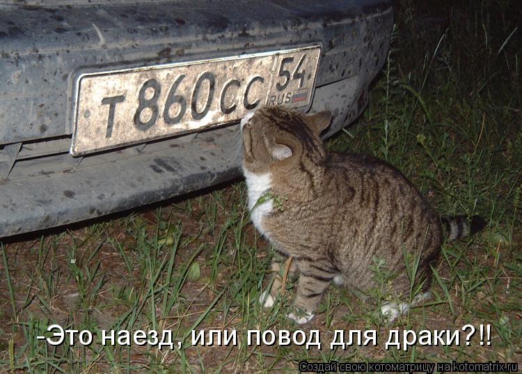 -Это наезд, или повод для драки?!!... Котоматрица: -Это наезд, или повод для драки?!!