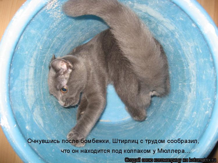 Очнувшись после бомбежки, Штирлиц с трудом сообразил, что он находится под колпаком у Мюллера...... Котоматрица: Очнувшись после бомбежки, Штирлиц с трудом сообразил, что он находится под колпаком у Мюллера...