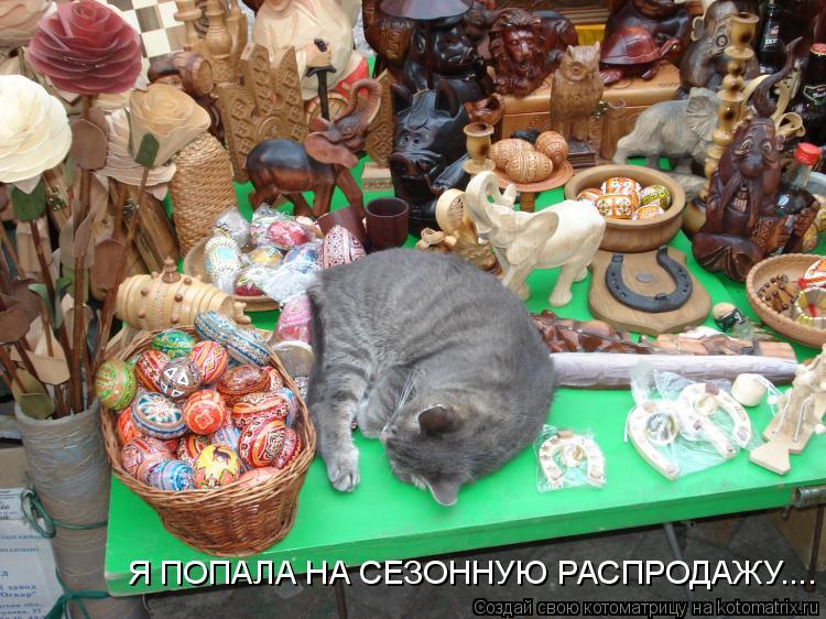 Котоматрица: Я ПОПАЛА НА СЕЗОННУЮ РАСПРОДАЖУ....