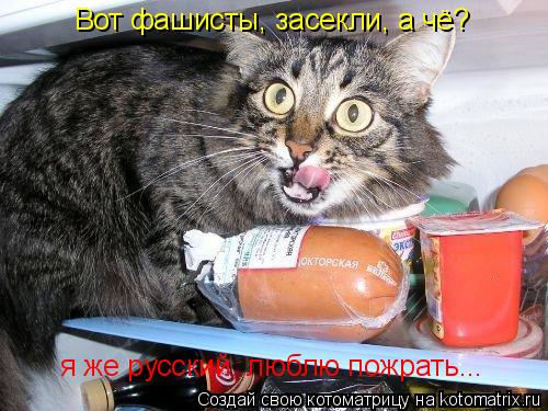 Вот фашисты, засекли, а чё? я же русский, люблю пожрать...... Котоматрица: Вот фашисты, засекли, а чё? я же русский, люблю пожрать...