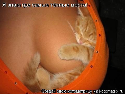 Котоматрица: Я знаю где самые тёплые места!