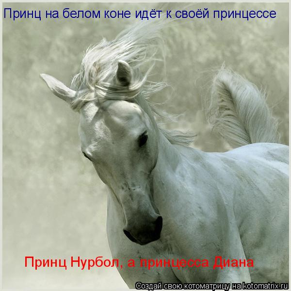 Принц на белом коне идёт к своёй принцессе Принц Нурбол, а принцесса Диана... Котоматрица: Принц на белом коне идёт к своёй принцессе Принц Нурбол, а принцесса Диана