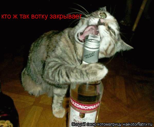 кто ж так вотку закрывает... Котоматрица: кто ж так вотку закрывает