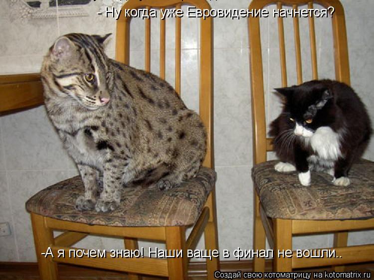 - Ну когда уже Евровидение начнется? - Ну когда уже Евровидение начнется? -А я почем знаю! Наши ващ... Котоматрица: - Ну когда уже Евровидение начнется? - Ну когда уже Евровидение начнется? -А я почем знаю! Наши ваще в финал не вошли..