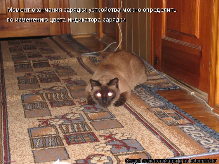 Момент окончания зарядки устройства можно определить по изменению цвета индикатора зарядки... Котоматрица: Момент окончания зарядки устройства можно определить по изменению цвета индикатора зарядки