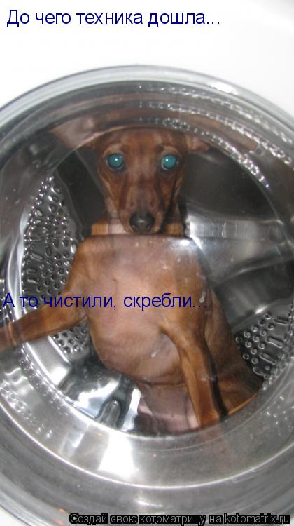 До чего техника дошла... А то чистили, скребли...... Котоматрица: До чего техника дошла... А то чистили, скребли...