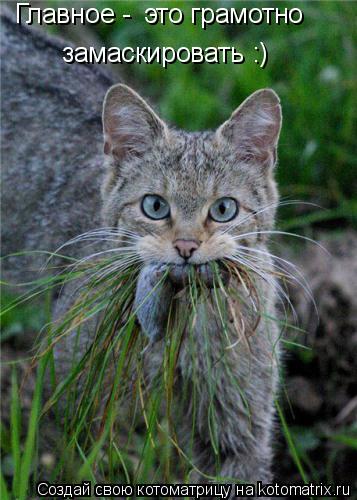 Котоматрица: Главное -  это грамотно  замаскировать :)