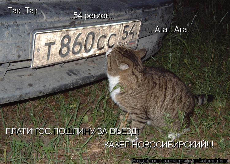 Так..Так.. ...54 регион... ...Ага...Ага... ПЛАТИ ГОС.ПОШЛИНУ ЗА ВЪЕЗД! КАЗЕЛ НОВОСИБИРСКИЙ!!!... Котоматрица: Так..Так.. ...54 регион... ...Ага...Ага... ПЛАТИ ГОС.ПОШЛИНУ ЗА ВЪЕЗД! КАЗЕЛ НОВОСИБИРСКИЙ!!!