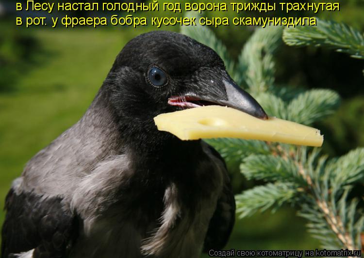 в Лесу настал голодный год ворона трижды трахнутая в рот. у фраера бобра кусочек сыра скамуниздила... Котоматрица: в Лесу настал голодный год ворона трижды трахнутая в рот. у фраера бобра кусочек сыра скамуниздила