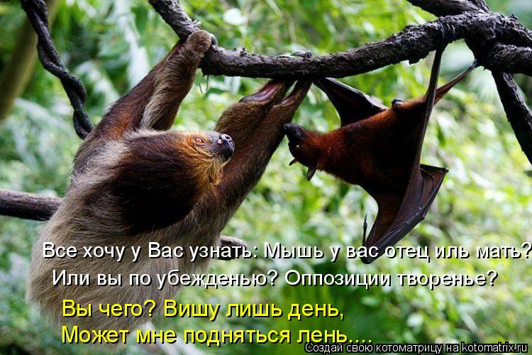 Все хочу у Вас узнать: Мышь у вас отец иль мать? Или вы по убежденью? Оппозиции творенье? Вы чего? Ви... Котоматрица: Все хочу у Вас узнать: Мышь у вас отец иль мать? Или вы по убежденью? Оппозиции творенье? Вы чего? Вишу лишь день, Может мне подняться лень....
