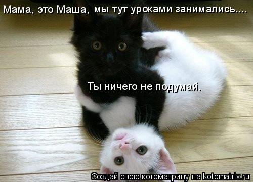 Мама, это Маша, мы тут уроками занимались.... Ты ничего не подумай.... Котоматрица: Мама, это Маша, мы тут уроками занимались.... Ты ничего не подумай.