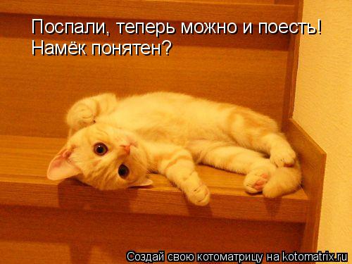 Поспали, теперь можно и поесть! Намёк понятен?... Котоматрица: Поспали, теперь можно и поесть! Намёк понятен?