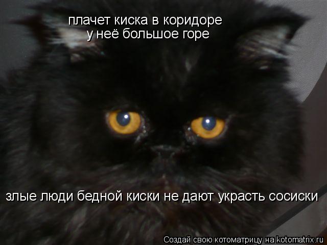 плачет киска в коридоре плачет киска в коридоре у неё большое горе злые люди бедной киски не дают укр... Котоматрица: плачет киска в коридоре плачет киска в коридоре у неё большое горе злые люди бедной киски не дают украсть сосиски