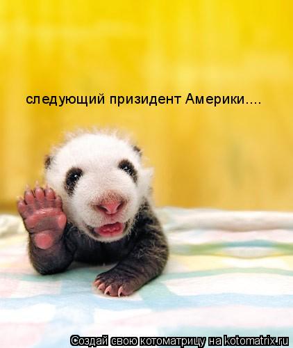 следующий призидент Америки....... Котоматрица: следующий призидент Америки....