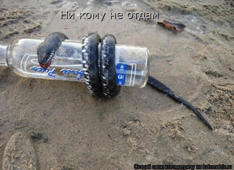 Котоматрица: Ни кому не отдам