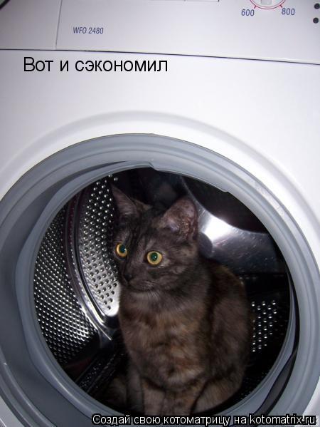 Вот и сэкономил... Котоматрица: Вот и сэкономил
