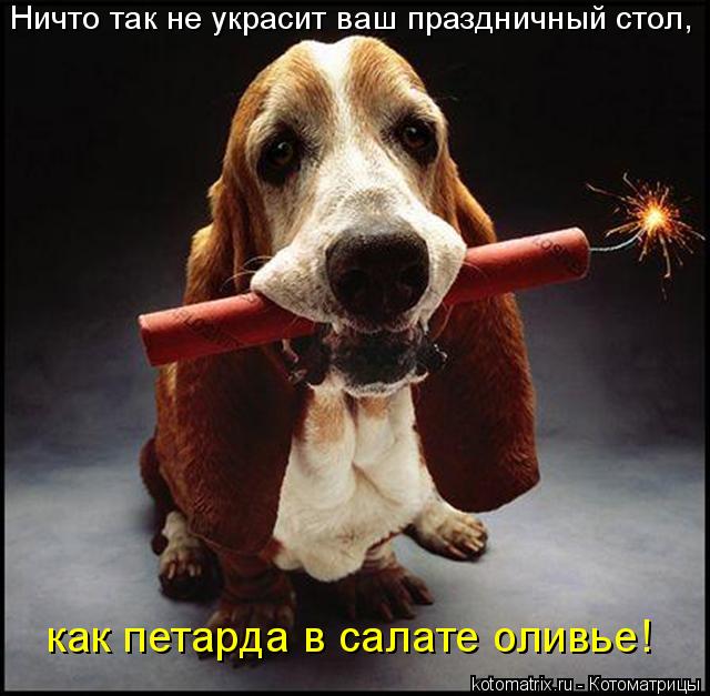 Ничто так не украсит ваш праздничный стол, как петарда в салате оливье!... Котоматрица: Ничто так не украсит ваш праздничный стол, как петарда в салате оливье!