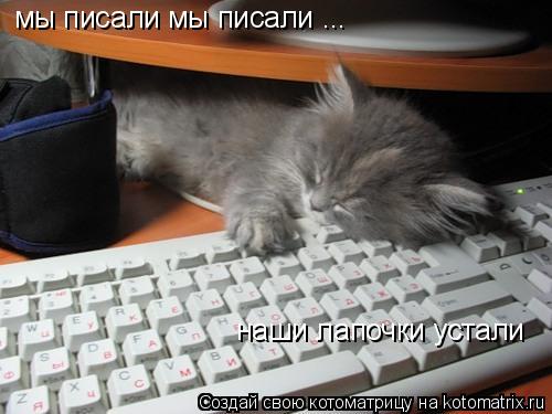 мы писали мы писали ... наши лапочки устали... Котоматрица: мы писали мы писали ... наши лапочки устали