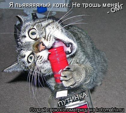 Котоматрица: Я пьяяяяяный котик. Не трошь меня! ПУТИНКА - ОМГ