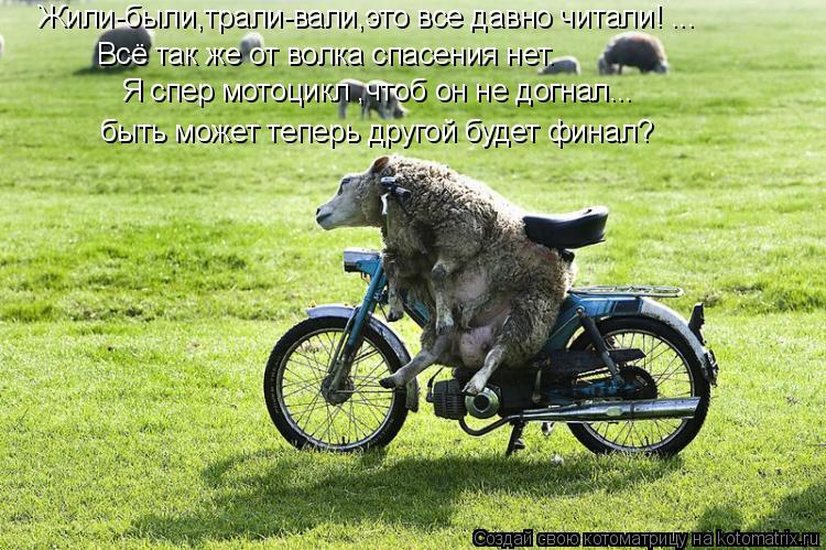 Всё так же от волка спасения нет. Жили-были,трали-вали,это все давно читали! ... Я спер мотоцикл ,что... Котоматрица: Всё так же от волка спасения нет. Жили-были,трали-вали,это все давно читали! ... Я спер мотоцикл ,чтоб он не догнал... быть может теперь другой б