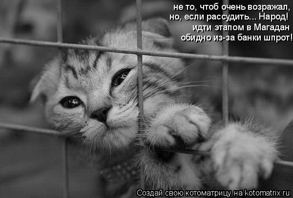 не то, чтоб очень возражал, идти этапом в Магадан обидно из-за банки шпрот! но, если рассудить... Нар... Котоматрица: не то, чтоб очень возражал, идти этапом в Магадан обидно из-за банки шпрот! но, если рассудить... Народ!