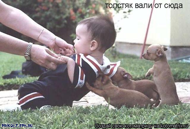 толстяк вали от сюда... Котоматрица: толстяк вали от сюда