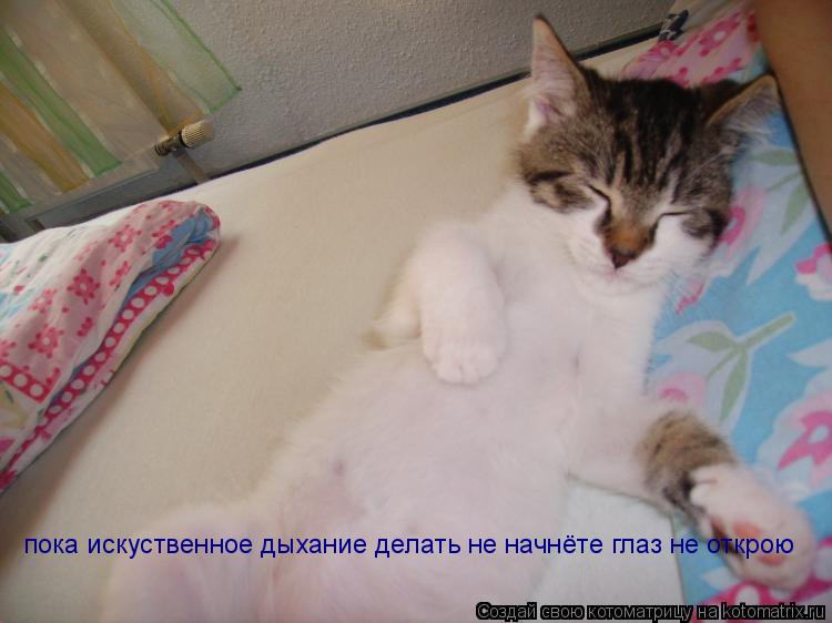 Котоматрица: пока искуственное дыхание делать не начнёте глаз не открою