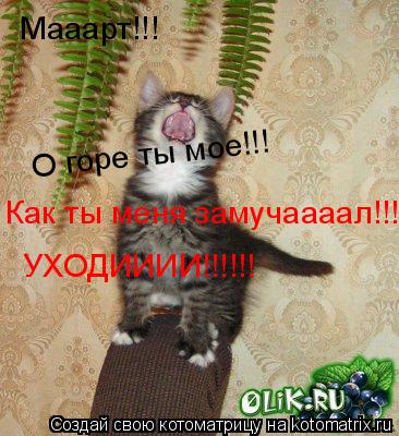 Мааарт!!! О горе ты мое!!! Как ты меня замучаааал!!! УХОДИИИИ!!!!!!... Котоматрица: Мааарт!!! О горе ты мое!!! Как ты меня замучаааал!!! УХОДИИИИ!!!!!!