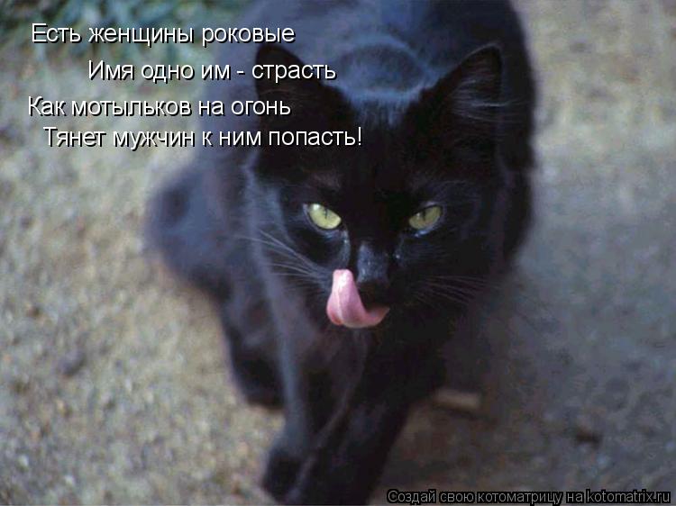 Есть женщины роковые Имя одно им - страсть Как мотыльков на огонь Тянет мужчин к ним попасть!... Котоматрица: Есть женщины роковые Имя одно им - страсть Как мотыльков на огонь Тянет мужчин к ним попасть!