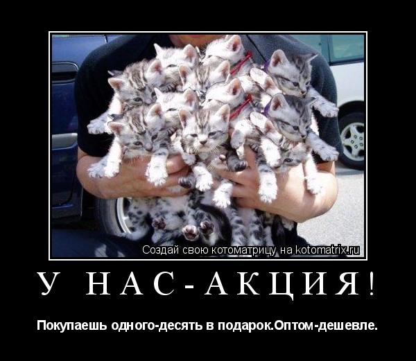 Котоматрица: У нас-акция! Покупаешь одного-десять в подарок.Оптом-дешевле.