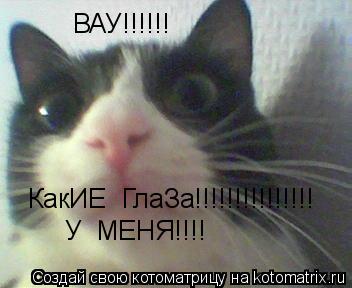 ВАУ!!!!!! КакИЕ ГлаЗа!!!!!!!!!!!!!!! У МЕНЯ!!!!... Котоматрица: ВАУ!!!!!! КакИЕ ГлаЗа!!!!!!!!!!!!!!! У МЕНЯ!!!!