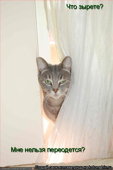 Котоматрица: Что зырете? Мне нельзя переодется?
