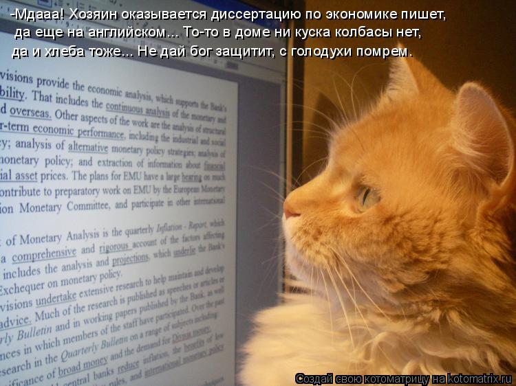 -Мдааа! Хозяин оказывается диссертацию по экономике пишет, да еще на английском... То-то в доме ни к... Котоматрица: -Мдааа! Хозяин оказывается диссертацию по экономике пишет, да еще на английском... То-то в доме ни куска колбасы нет, да и хлеба тоже... Не дай