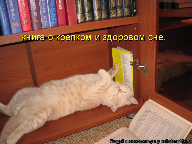 книга о крепком и здоровом сне.... Котоматрица: книга о крепком и здоровом сне.