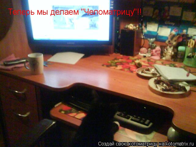 Котоматрица: Теперь мы делаем "Челоматрицу"!!