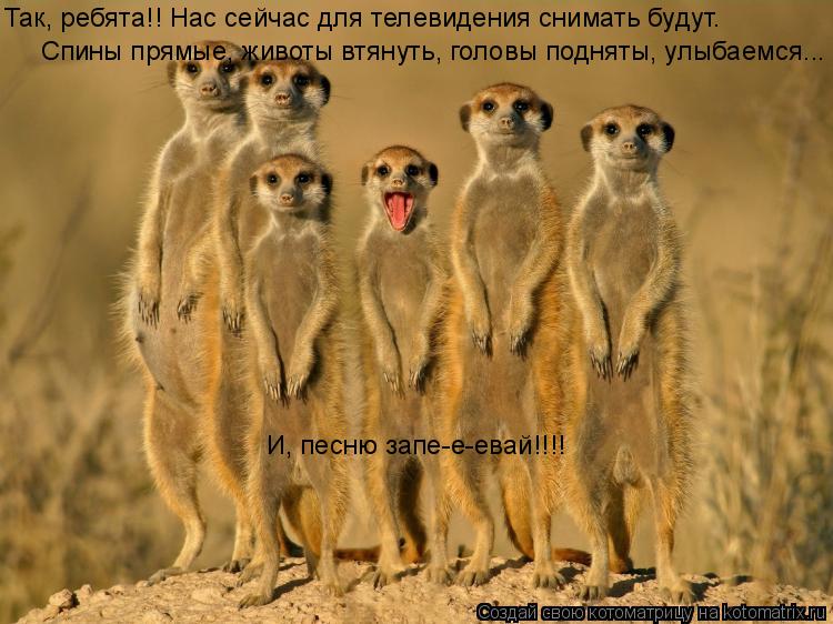 Котоматрица: Так, ребята!! Нас сейчас для телевидения снимать будут. Спины прямые, животы втянуть, головы подняты, улыбаемся... И, песню запе-е-евай!!!!