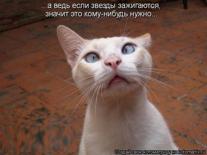 ...а ведь если звезды зажигаются, значит это кому-нибудь нужно...... Котоматрица: ...а ведь если звезды зажигаются, значит это кому-нибудь нужно...